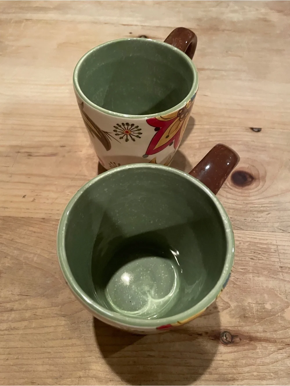 Pier 1 Carynthum Botanical Mugs (2) retired green interior brown handle 14oz